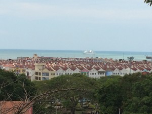 IMG_5243